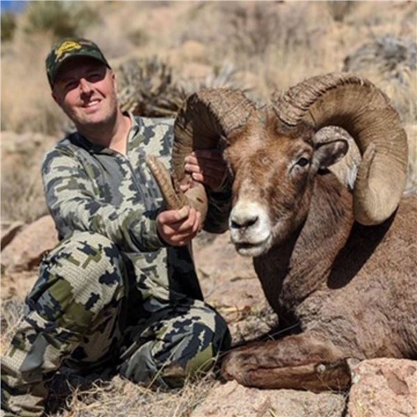 NEW MEXICO ROCKY MOUNTAIN BIGHORN SHEEP PERMIT