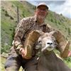 Image 4 : NEW MEXICO ROCKY MOUNTAIN BIGHORN SHEEP PERMIT