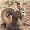 Image 5 : NEW MEXICO ROCKY MOUNTAIN BIGHORN SHEEP PERMIT