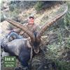 14 - DAY SPANISH IBEX GRAND SLAM HUNT FOR 1 HUNTER (Trophy fees included for 1 Bronze Medal Gredos i