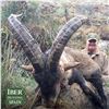 Image 2 : 14 - DAY SPANISH IBEX GRAND SLAM HUNT FOR 1 HUNTER (Trophy fees included for 1 Bronze Medal Gredos i