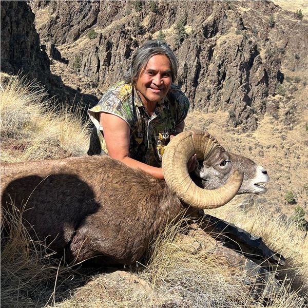 CONFEDERATED TRIBES OF WARM SPRINGS BRANCH OF NATURAL RESOURCES - CA BIGHORN SHEEP PERMIT