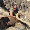 Image 1 : CONFEDERATED TRIBES OF WARM SPRINGS BRANCH OF NATURAL RESOURCES - CA BIGHORN SHEEP PERMIT