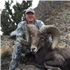 Image 2 : CONFEDERATED TRIBES OF WARM SPRINGS BRANCH OF NATURAL RESOURCES - CA BIGHORN SHEEP PERMIT