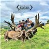 5 - DAY NEW ZEALAND HUNT FOR 2 HUNTERS FOR 2X RED STAG, TAHR & CHAMOIS (Trophy fees for 2 red stag u