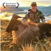 Image 2 : 5 - DAY NEW ZEALAND HUNT FOR 2 HUNTERS FOR 2X RED STAG, TAHR & CHAMOIS (Trophy fees for 2 red stag u