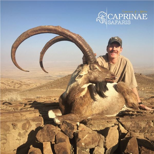 3 - DAY SINDH IBEX (up to 39”) HUNT IN PAKISTAN FOR 1 HUNTER - (Trophy Fee up to 39” is Included -$1