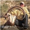 Image 2 : 3 - DAY SINDH IBEX (up to 39”) HUNT IN PAKISTAN FOR 1 HUNTER - (Trophy Fee up to 39” is Included -$1