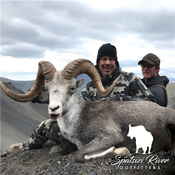 12 - DAY STONES’ SHEEP HUNT IN NORTHERN BRITISH COLUMBIA