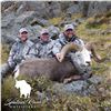 Image 2 : 12 - DAY STONES’ SHEEP HUNT IN NORTHERN BRITISH COLUMBIA