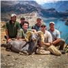 Image 7 : ARIZONA DESERT BIGHORN SHEEP