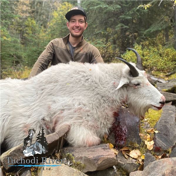 10 - DAY MOUNTAIN GOAT HUNT FOR 1 HUNTER IN BC