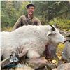 Image 1 : 10 - DAY MOUNTAIN GOAT HUNT FOR 1 HUNTER IN BC