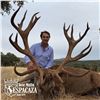 Image 3 : 4 - DAY HUNT FOR 2 HUNTERS IN SPAIN INCLUDING 2 MOUFLON SHEEP, OR 2 RED STAG OR 2 ROE DEER (Hunter's