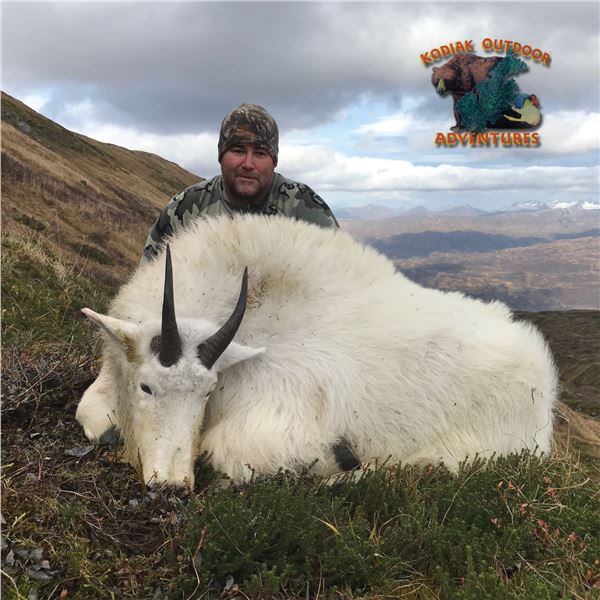 9 - DAY ALASKAN HUNT FOR 2 MOUNTAIN GOATS AND 1 SITKA BLACKTAIL DEER FOR 1 HUNTER