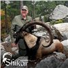 7-DAY ANATOLIAN IBEX HUNT IN TURKEY FOR 1 HUNTER