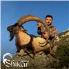 Image 2 : 7-DAY ANATOLIAN IBEX HUNT IN TURKEY FOR 1 HUNTER