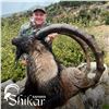 Image 3 : 7-DAY ANATOLIAN IBEX HUNT IN TURKEY FOR 1 HUNTER