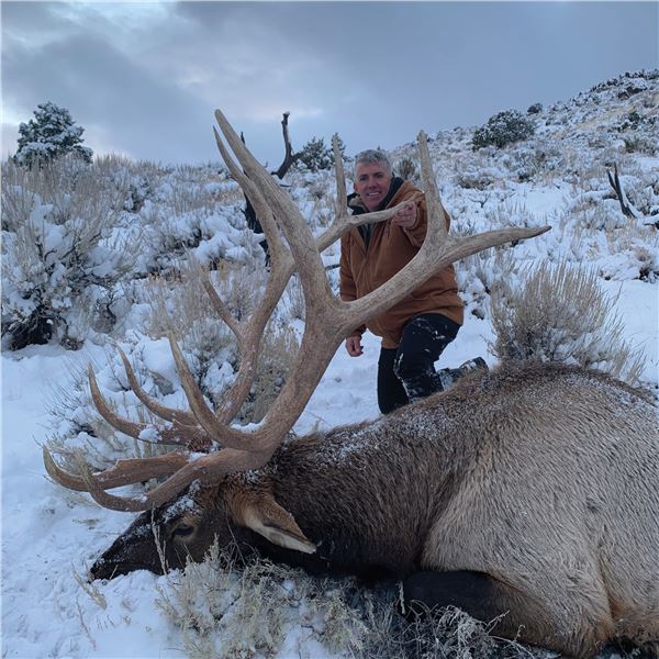 NEVADA UNIT 231 PRIVATE LANDOWNER ELK TAG - FOR 1 HUNTER