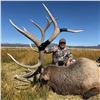 Image 2 : NEVADA UNIT 231 PRIVATE LANDOWNER ELK TAG - FOR 1 HUNTER