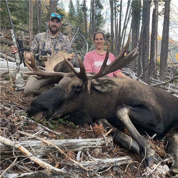 7-DAY MOOSE HUNT IN BRITISH COLUMBIA FOR 1 HUNTER