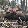 7-DAY MOOSE HUNT IN BRITISH COLUMBIA FOR 1 HUNTER