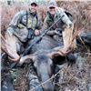 Image 2 : 7-DAY MOOSE HUNT IN BRITISH COLUMBIA FOR 1 HUNTER