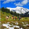 Image 3 : 7-DAY MOOSE HUNT IN BRITISH COLUMBIA FOR 1 HUNTER
