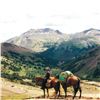 Image 6 : 7-DAY MOOSE HUNT IN BRITISH COLUMBIA FOR 1 HUNTER