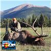 Image 2 : 5-DAY BULL ELK HUNT FOR 1 HUNTER IN COLORADO AT HILL RANCH