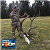 Image 8 : 5-DAY BULL ELK HUNT FOR 1 HUNTER IN COLORADO AT HILL RANCH