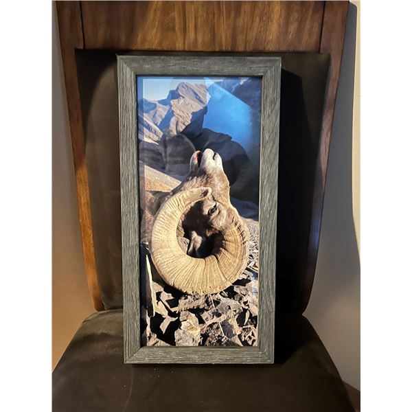 "Slam Ram" framed photo