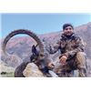 Image 8 : 219 #DIN-19 Bukharan Ibex Hunt, Tajikistan