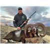 Image 2 : 399 #SLA-99 Balearian Goat & Mouflon Sheep Hunt, Spain