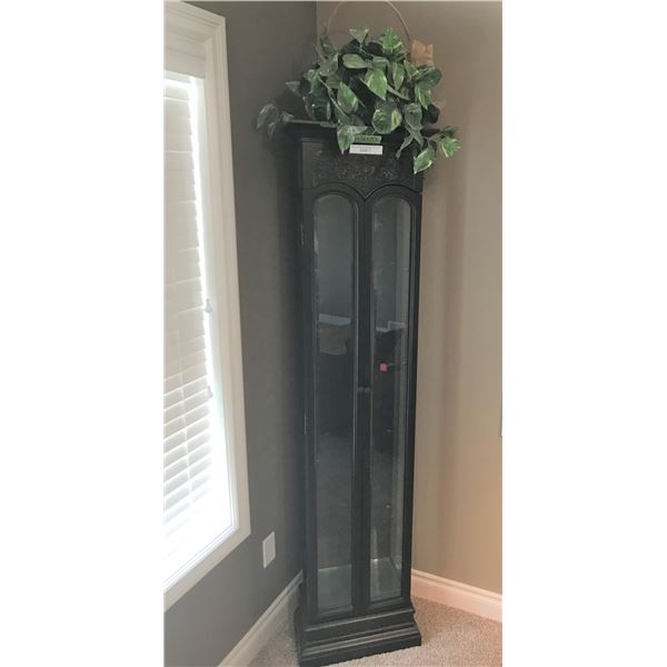 Tall Wood & Glass Curio Cabinet w Silk Plant