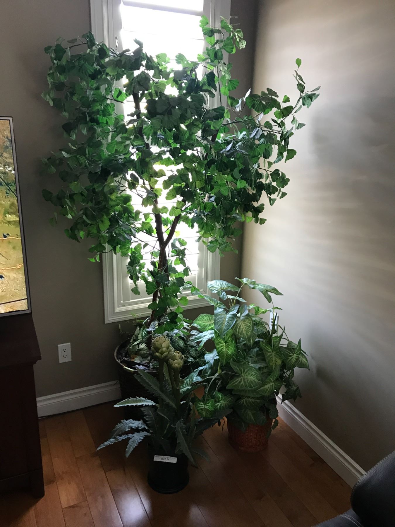 Large Silk Tree & Two Silk Plants Beck Auctions Inc.