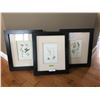Image 1 : Three Framed Seaweed Pictures from Finesse Furnishings