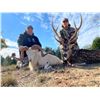 Image 1 : CEDAR COVE RANCH: Texas Trophy Axis Deer Hunt