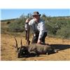 Image 1 : EASTCAPE AND KAROO SAFARIS: 4-Day Father and Son Hunting Safari in Eastern Cape, South Africa