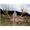 Image 3 : NEW ZEALAND SAFARIS: 4-Day New Zealand Hunt for Two Hunters in Pursuit of Fallow Buck