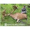 Image 4 : NEW ZEALAND SAFARIS: 4-Day New Zealand Hunt for Two Hunters in Pursuit of Fallow Buck