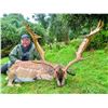 Image 6 : NEW ZEALAND SAFARIS: 4-Day New Zealand Hunt for Two Hunters in Pursuit of Fallow Buck
