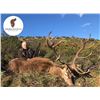 Image 1 : HEREDEROS HUNTING SPAIN: 3-Day Spain Hunting Trip for Two Hunters and Two Observers for Iberian Red