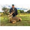 Image 2 : OX RANCH: 3-Day, 2-Night Hunting Experience With $6,000 Trophy Fee in Uvalde, TX