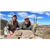 Image 3 : BRAESIDE SAFARIS: 7-Day South African Hunt for 1 Hunter In Pursuit of Vaal Rhebuck, Cape Bushbuck, M