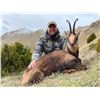 Image 1 : TROPHY HUNTING SPAIN: Pyrenean Chamois Hunt for One Hunter and One Observer