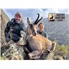 Image 2 : TROPHY HUNTING SPAIN: Pyrenean Chamois Hunt for One Hunter and One Observer