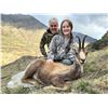 Image 3 : TROPHY HUNTING SPAIN: Pyrenean Chamois Hunt for One Hunter and One Observer
