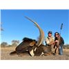 Image 2 : SPIRAL HORN SAFARIS: 5-Day Family Sable Hunt at Spiral Horn Safaris