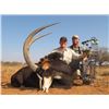 Image 4 : SPIRAL HORN SAFARIS: 5-Day Family Sable Hunt at Spiral Horn Safaris